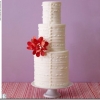 Let Them Eat Cake:  Sunday Round-Up for May 1, 2011