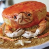 Let Them Eat Cake:  Sunday Round-Up for February 6, 2011