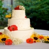 Sunflower Cake