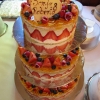 Fruit Cake..but not that holiday kind..