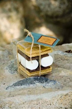 S'mores Kit