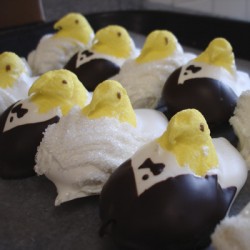 bride groom peeps