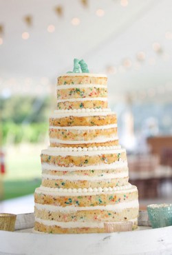 naked sprinkle cake