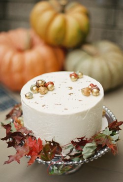 acorn-cake